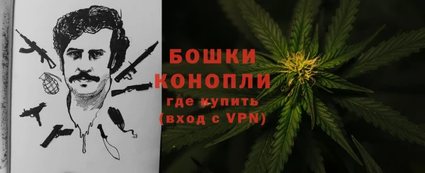 метадон Коряжма
