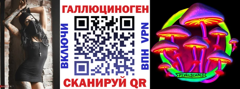 Купить закладки  Сортавала  Псилоцибиновые грибы мицелий 